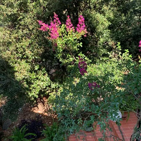 House Sveti Jakov Maison d'hôtes