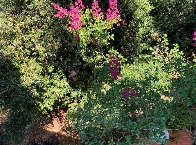 House Sveti Jakov Guest house